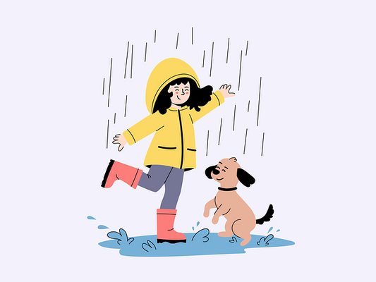 🐾 Fun Indoor Activities for Rainy Days with Your Dog ☔