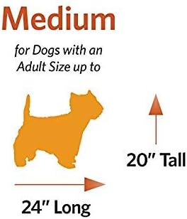 MidWest Homes for Pets Medium Dog Crate | Midwest Life Stages 30' Folding Metal Divider Panel,Floor Protecting Feet,Plastic Tray 30L x 19W 21H Inches,Breed