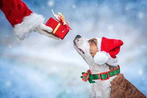 Christmas Festival Dog Collar, Deer Pattern, Removable Bowtie, for Medium Dog, Neck 12"-18", Width 3/4". (Medium, Deer)