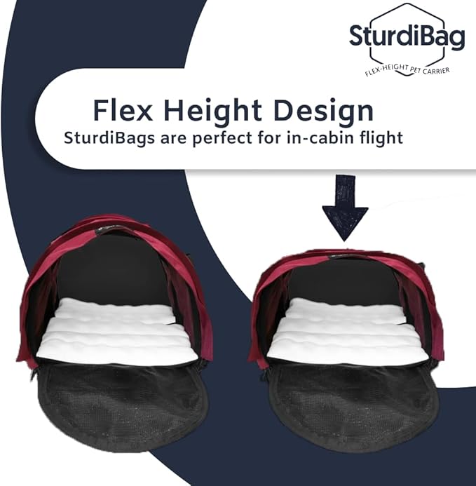 SturdiBag Medium Pet Travel Carrier: Flexible Height for Cat and Dog Soft Sided with Safety Clips and Seatbelt Straps | Smoke, 15" x 12" x 12" (PN: SB1.5-PRO-SM)