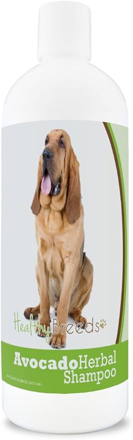 Healthy Breeds Bloodhound Avocado Herbal Dog Shampoo 16 oz