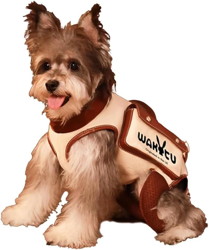 Dog Lift Harness Dog Carrier Dog VES Harness Adjustable Dog Leash with Small Puppy Treat Bag