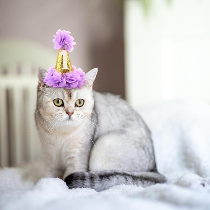 1st Pet Birthday Cone Hat Dogs Cats Holiday Party Hat Headwear Costume with Flowers Accessories and Adjustable Headband for Small Medium Dogs Cats Pets Baby, Purple