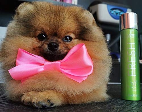 ARTERO Perfume. Finishing Cologne for Dogs and Cats, Grooming Spray. Cologne Long Lasting Sprays After Bath - deodorizing. (Fresh)