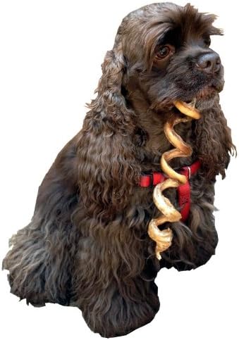 HDP Dental Jumbo Curly Bully Sticks Light 7"-9" USA Odor Free Size:Pack of 25