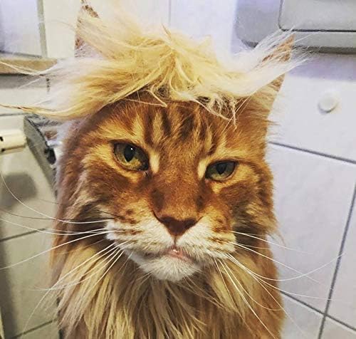 Donald Trump Style Pet Costume Dog Wig, Dog Clothes with Collar & Tie Head Wear Apparel Toy for Halloween, Christmas, Parties, Festivals (Brown Without Tie)