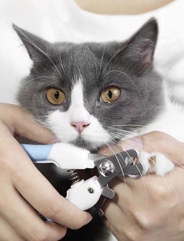 ANTNX 6-piece pet grooming and cleaning set Hair removal comb with pet nail clippers and file Pet gloves for dogs and cats