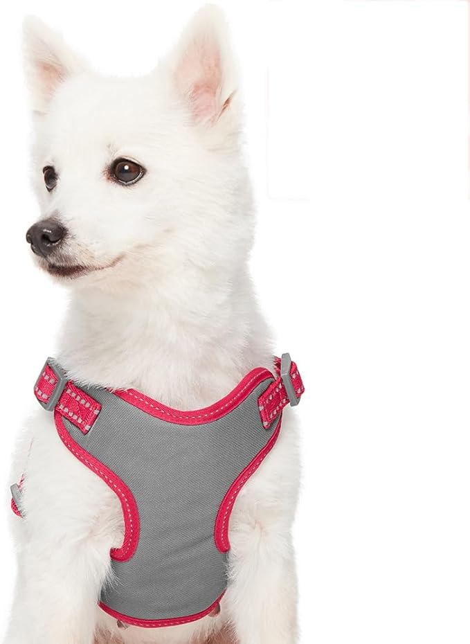 Blueberry Pet Essentials Pastel Color Reflective Dog Harness Vest, Chest Girth 17.5" - 21", Very Berry, Small, Adjustable Harnesses for Dogs