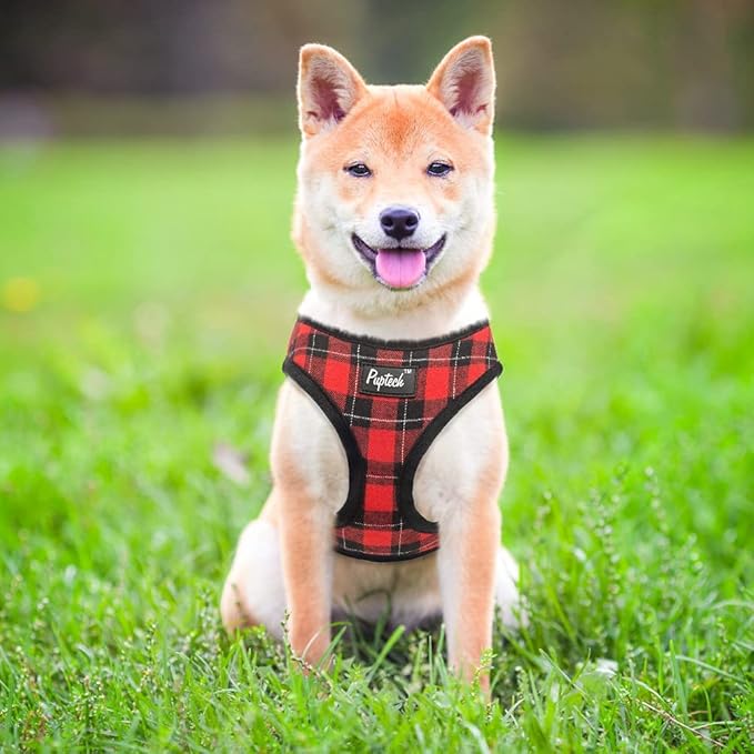 PUPTECK Soft Mesh Dog Harness and Leash Set Pet Puppy Cat Comfort Padded Vest No Pull Harnesses, Red&Black, M