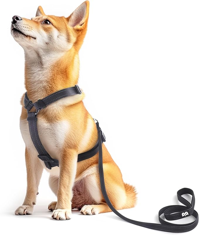 Dog Harness Leash Set, No Pull Adjustable Halter Cute Comfort Padded Handle for Medium Sized Large Small Dogs Walking Training Running with Reflective(Large,Black)