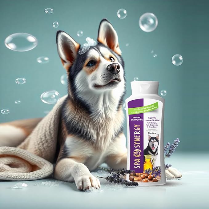 Pet Dog Shampoo Mud and Natural Dead Sea Mineral Rich, Aloe Vera & Vitamin-E, Anti Dandruff, Relief Psoriasis & Eczema, Moisturizing - Argan Oil & Lavender Oil - (1) Bottle 16.5 FL OZ