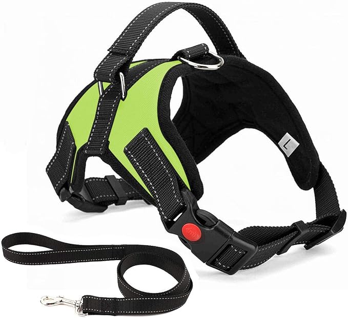 No Pull Dog Harness, Breathable Adjustable Comfort, Free Leash Included, for Small Medium Large Dog, Best for Training Walking Green XS
