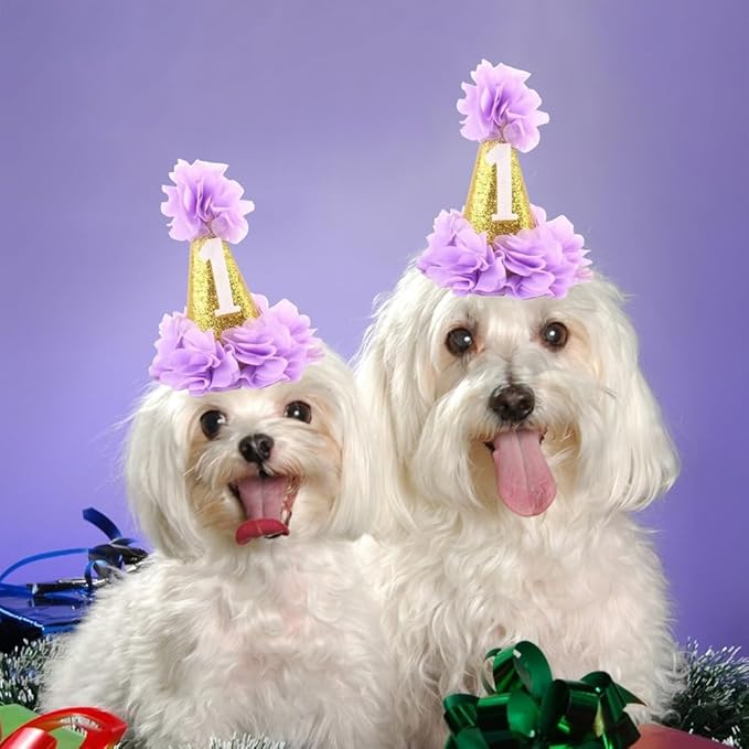 1st Pet Birthday Cone Hat Dogs Cats Holiday Party Hat Headwear Costume with Flowers Accessories and Adjustable Headband for Small Medium Dogs Cats Pets Baby, Purple
