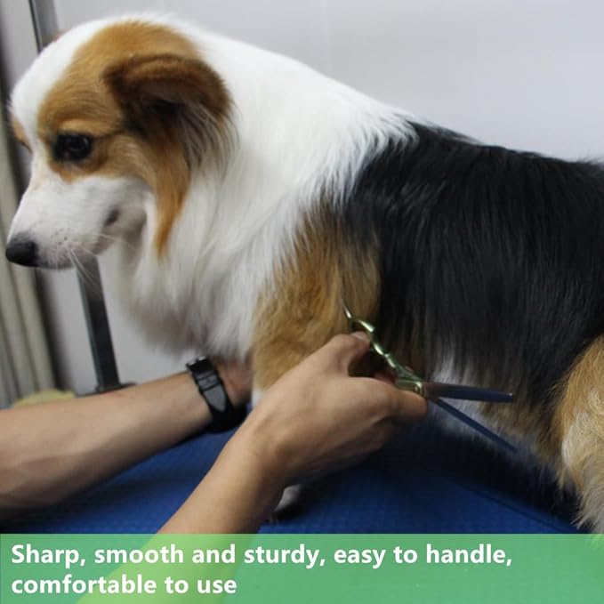 HASHIMOTO Thinning Shears for Dogs, Dog Thinning Shears for Grooming, 42 Teeth, 6.5 inch, 30% Thinning Rate, Extremely Light Weight, Designed for Professional Pet Groomers or Family DIY Use.