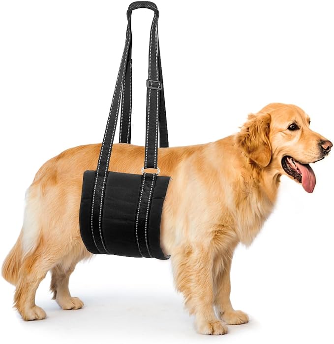 4-150 lbs Dog Lift Harness for Rear Leg, Portable Dog Sling for Large Dogs Hind Leg Support for Elderly Dog, Injured Dog, Arthritis ACL Rehabilitation Up Down Stairs, Black (Medium)