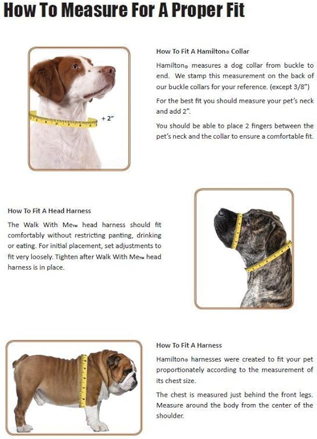 Hamilton Double Thick Nylon Deluxe Dog Collar with Brushed Hardware Finish, 1-Inch by 20-Inch, Plum