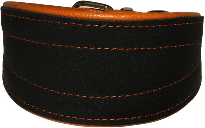 Real Leather Extra Wide Padded Tapered Dog Collar Glossy Black Greyhound Saluki Deerhound Lurcher Whippet Dachshund (11"-13" Neck; 2" Wide, Toffee)