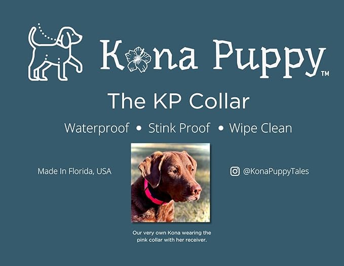 Waterproof E-Collar Replacement Strap Dog Collar for Invisible Fence/ecollar - Easy On Bungee (3/4" Wide, Blue)