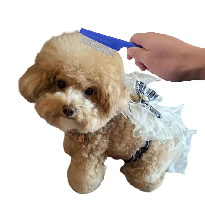 5 PCS Flea Lice Combs Grooming Fine Tooth Hair Combs for Dogs Cats (Blue, One Size)