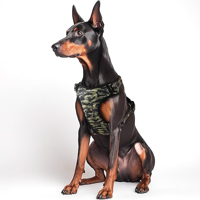 QQPETS No Pull Dog Harness with 2 Leash Clips,Adjustable Soft Padded Dog Vest, Reflective Outdoor Pet Oxford Vest with Easy Control Handle for Small to Large Dogs Walking Training