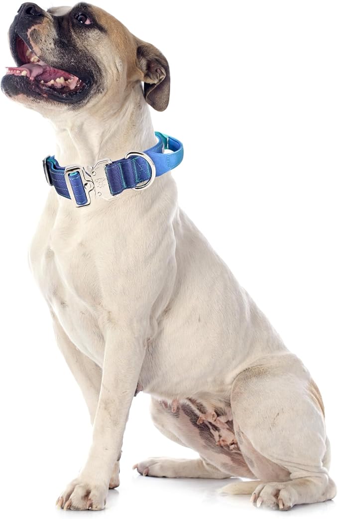 Tactical Military Dog Collar, Strong Heavy Duty Dog Collar, Wide Thick Dog Collar with Handle, Soft Neoprene Padded Collar with Quick Release Metal Buckle for Medium Large Dogs (Blue, M)