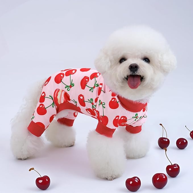 XPUDAC 4 Pieces Dog Pajamas for Small Dogs Pjs Clothes Puppy Onesies Outfits for Doggie Christmas Shirts Sleeper for Pet