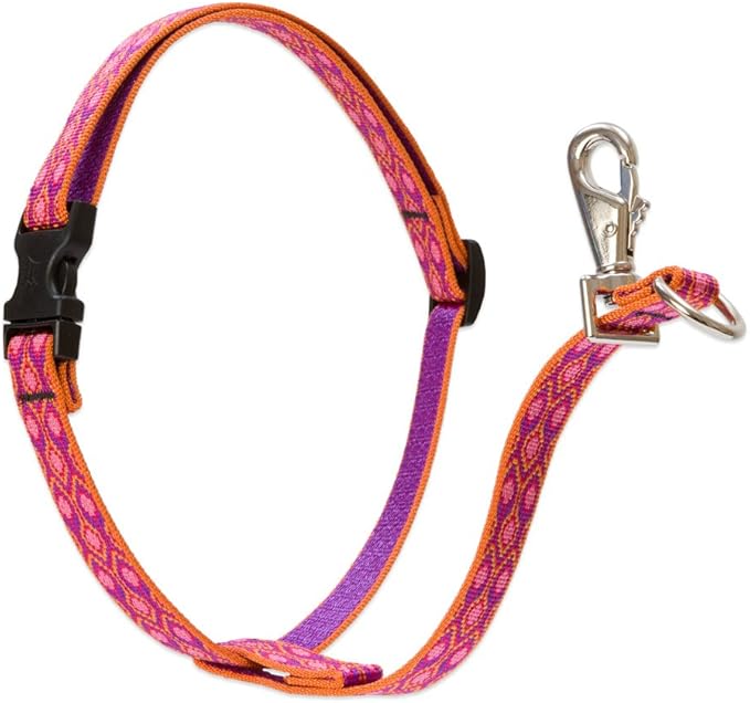 LupinePet Originals 3/4" Alpen Glow 16-26" No Pull Harness for Small-Medium Dogs