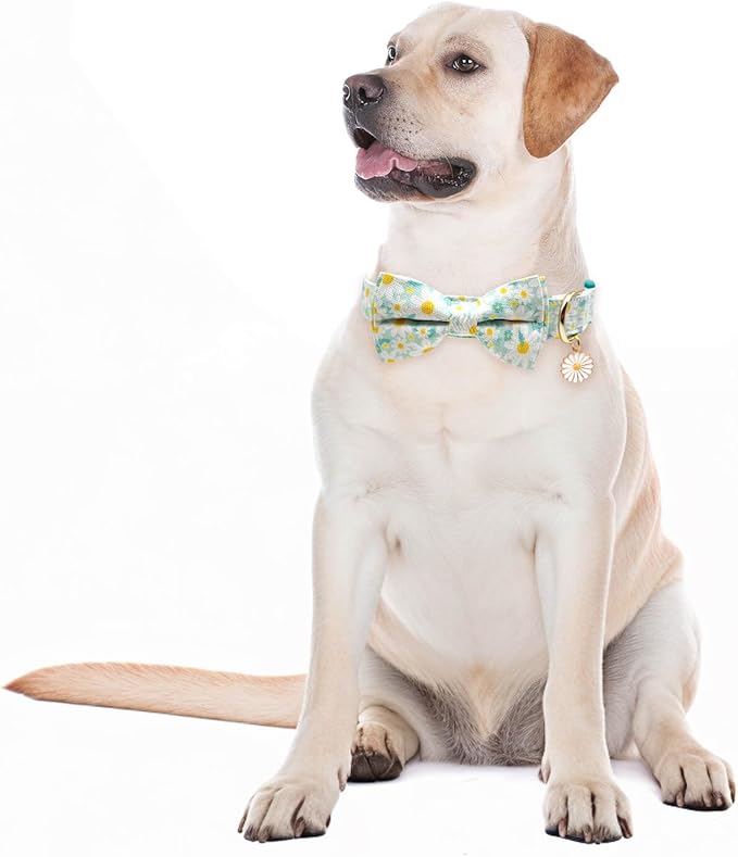 Fashionable Dog Collar with Bow Tie for Small Medium Large Dogs,Cute and Soft Puppy Collar for Male Female Dogs,Cyan Durable Cotton Dog Collar with Adjustable Buckle Daisy Pattern (L, Cyan Daisy)