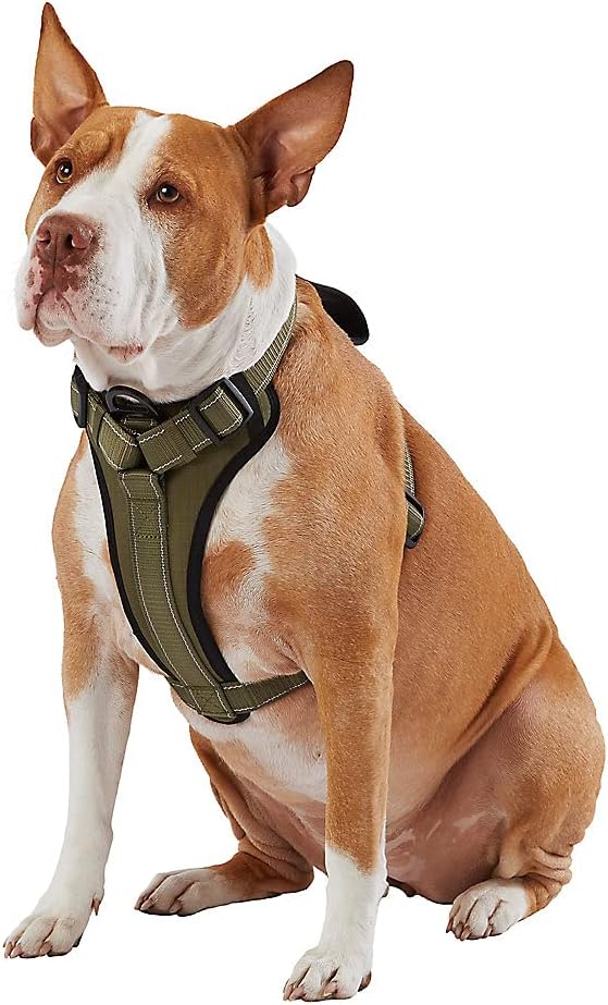 KONG Max Ultra Durable Neoprene Padded Chest Plate Dog Harness Offered by The Barker Company (Green, XL)