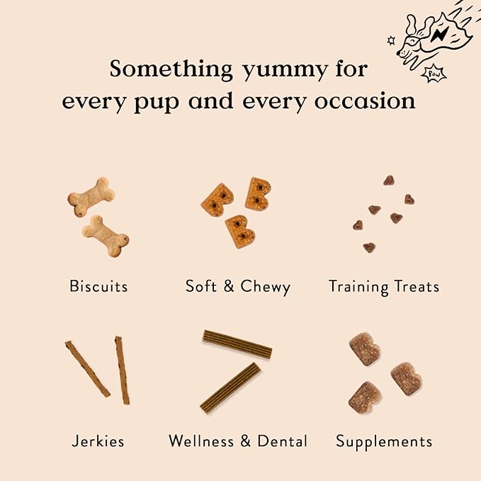 Bocce's Bakery All-Natural, Small Batch, Organic Dog Treats, Spiced Cake Biscuits, Wheat-Free, Limited-Ingredient, Made in The USA with 100% Recyclable Packaging, 12 oz Bag (DG-BC-SCC)