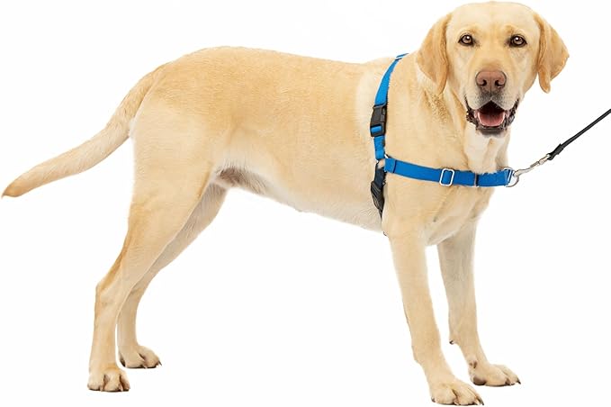 PetSafe Easy Walk No-Pull Dog Harness - The Ultimate Harness to Help Stop Pulling - Take Control & Teach Better Leash Manners - Helps Prevent Pets Pulling on Walks, Large, Royal Blue/Navy Blue