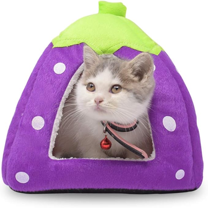 Spring Fever Hamster Guinea Pig Rabbit Dog Cat Chinchilla Hedgehog Bird Small Animal Pet Bed House Hideout Cage Accessorie D Purple L (16.9 * 16.9 inch)