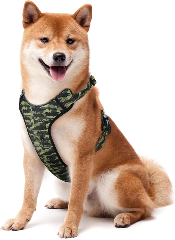 QQPETS No Pull Dog Harness with 2 Leash Clips,Adjustable Soft Padded Dog Vest, Reflective Outdoor Pet Oxford Vest with Easy Control Handle for Small to Large Dogs Walking Training