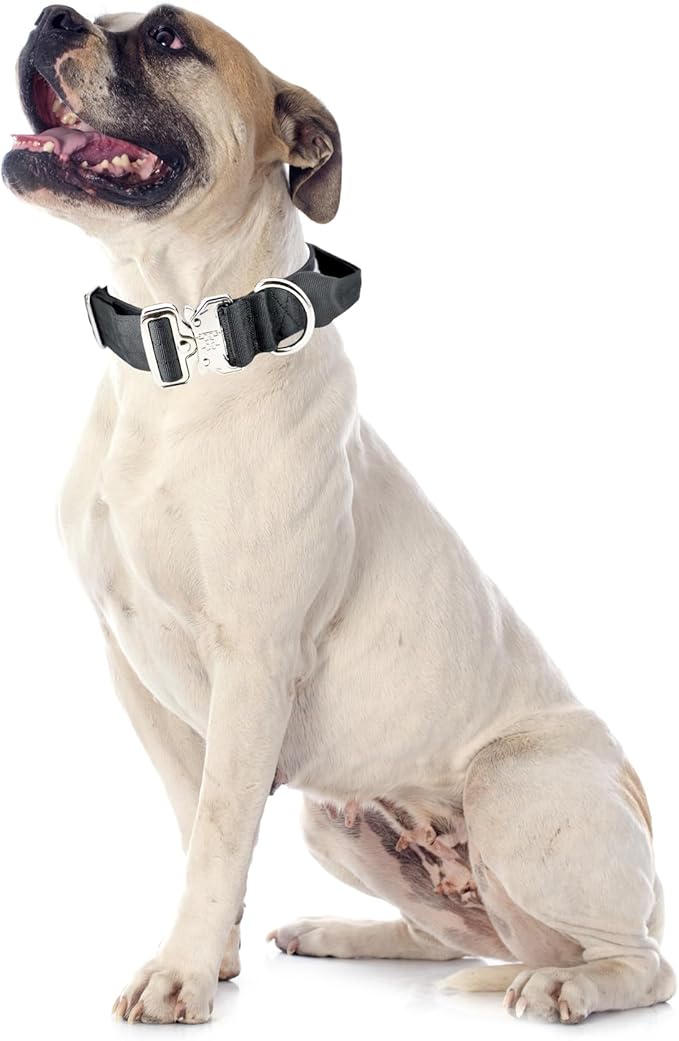 Tactical Military Dog Collar, Strong Heavy Duty Dog Collar, Wide Thick Dog Collar with Handle, Soft Neoprene Padded Collar with Quick Release Metal Buckle for Medium Large Dogs (Black, M)