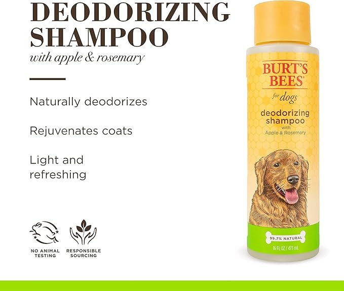 Burt's Bees for Pets Deodorizing Dog Shampoo with Apple and Rosemary, 6pk, 95% Natural Origin Formulas, Dog Deodorizing Shampoo - Gentle Dog Shampoo, Best Dog Shampoo for Smelly Dogs, 6pk, 16 oz