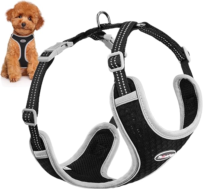 ThinkPet Harness and Leash Set Reflective Breathable Soft Air Mesh No Pull Puppy Choke Free Over Head Vest Ventilation Harness with Leash for Puppy Small Medium Dogs and Cats