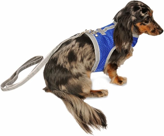 Athletic Mesh Dog Harness for Teacup, Small - Small Dogs and Puppies | Reflective Trim and Comfortable Velcro Closure