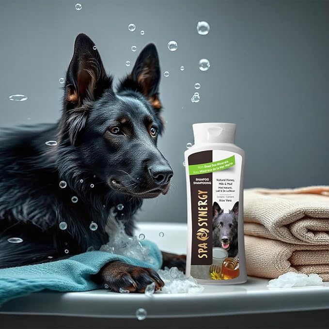 Pet Dog Shampoo Mud and Natural Dead Sea Mineral Rich, Aloe Vera & Vitamin-E, Soothing, Soften & Shiny Coat, Cleansing - Natural Honey & Milk - (1) Bottle 16.5 FL OZ