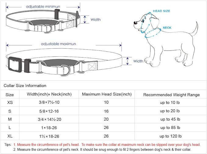 Blueberry Pet Essentials Martingale Safety Training Dog Collar, Lavender, Small, Heavy Duty Nylon Adjustable Collars for Dogs