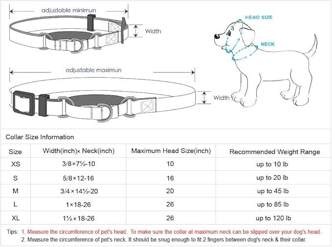 Blueberry Pet Essentials Martingale Safety Training Dog Collar, Turquoise, X-Large, Heavy Duty Nylon Adjustable Collars for Dogs