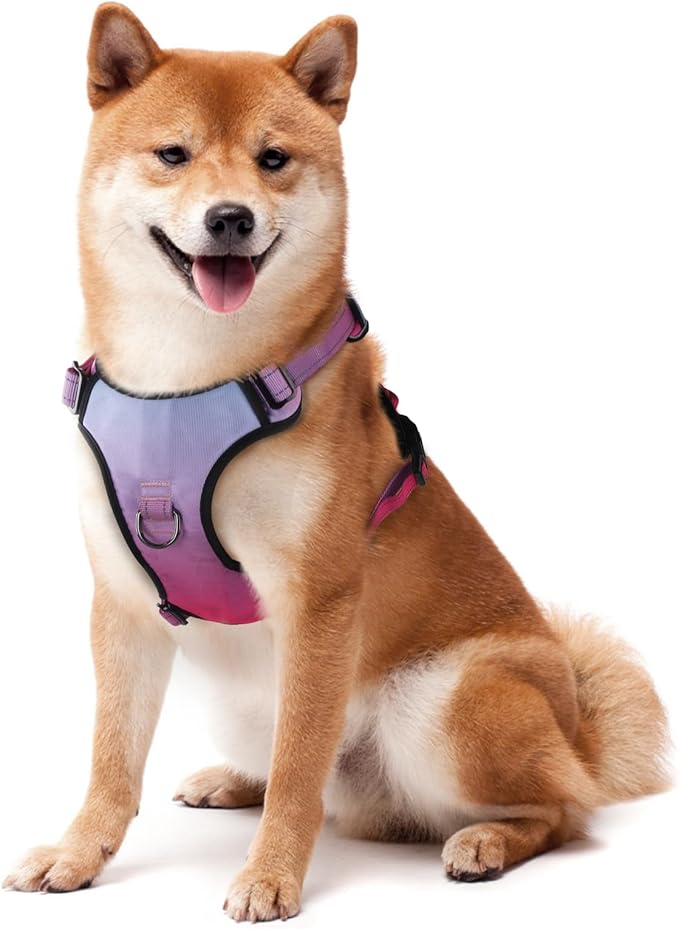 QQPETS No Pull Dog Harness with 2 Leash Clips,Adjustable Soft Padded Dog Vest, Reflective Outdoor Pet Oxford Vest with Easy Control Handle for Small to Large Dogs Walking Training