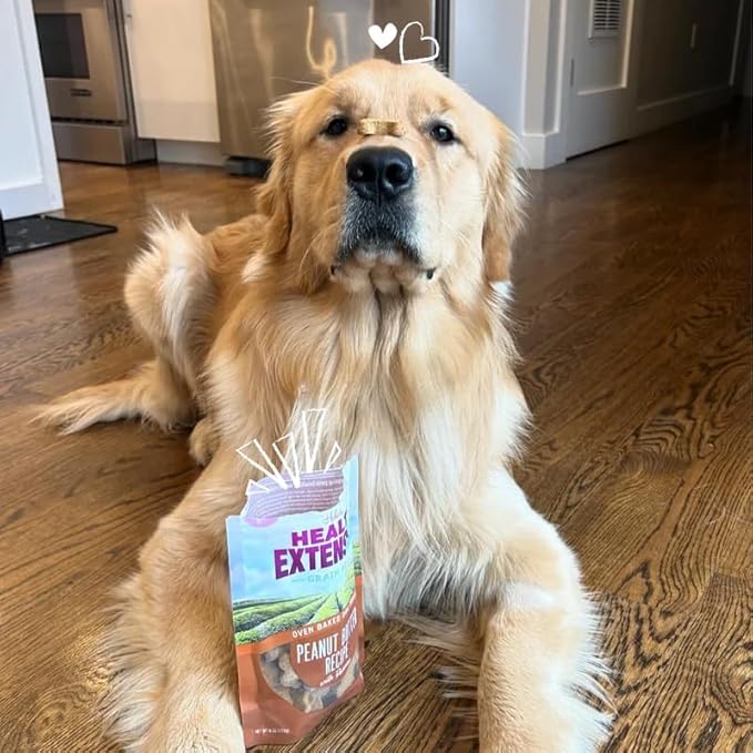 Health Extension Oven-Baked Dog Treats, 6oz (170g), Peanut Butter & Banana Recipe – Gluten & Grain-Free, Superfood-Infused, Crunchy Biscuits for Puppy Training