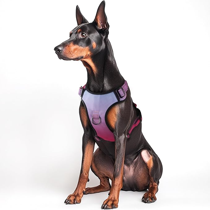 QQPETS No Pull Dog Harness with 2 Leash Clips,Adjustable Soft Padded Dog Vest, Reflective Outdoor Pet Oxford Vest with Easy Control Handle for Small to Large Dogs Walking Training