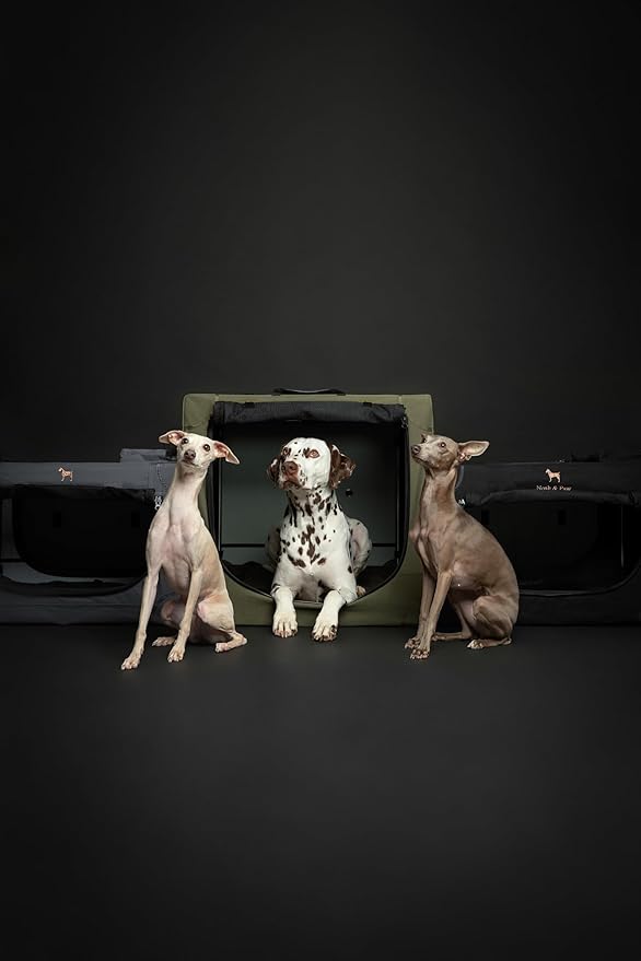 Noah & Paw Collapsible Dog Crate 30 Inches, Large Dog Crate for Large Medium Breeds, Travel Kennel for Car, Including Pet Mat for Pet Cage, 2 Storage Pockets, Handbag, 10mm Locking Zipper 30*21*21