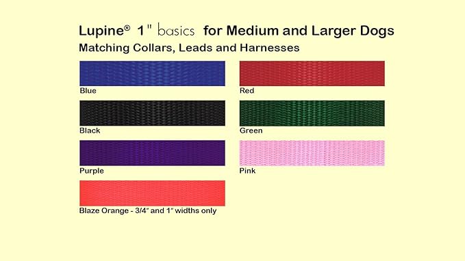 LupinePet Basics 1" Green 25-31" Adjustable Collar for Extra Large Dogs