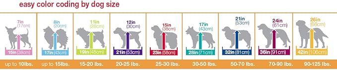 Petmate 19-Inch 2-Door Training Retreats Wire Kennel for Dogs Upto 15-Pound