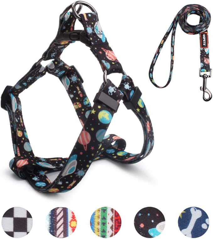 QQPETS Dog Harness Leash Set Adjustable Heavy Duty No Pull Halter Harnesses for Small Medium Large Breed Dogs Back Clip Anti-Twist Perfect for Walking (S(14"-20" Chest Girth), Space)