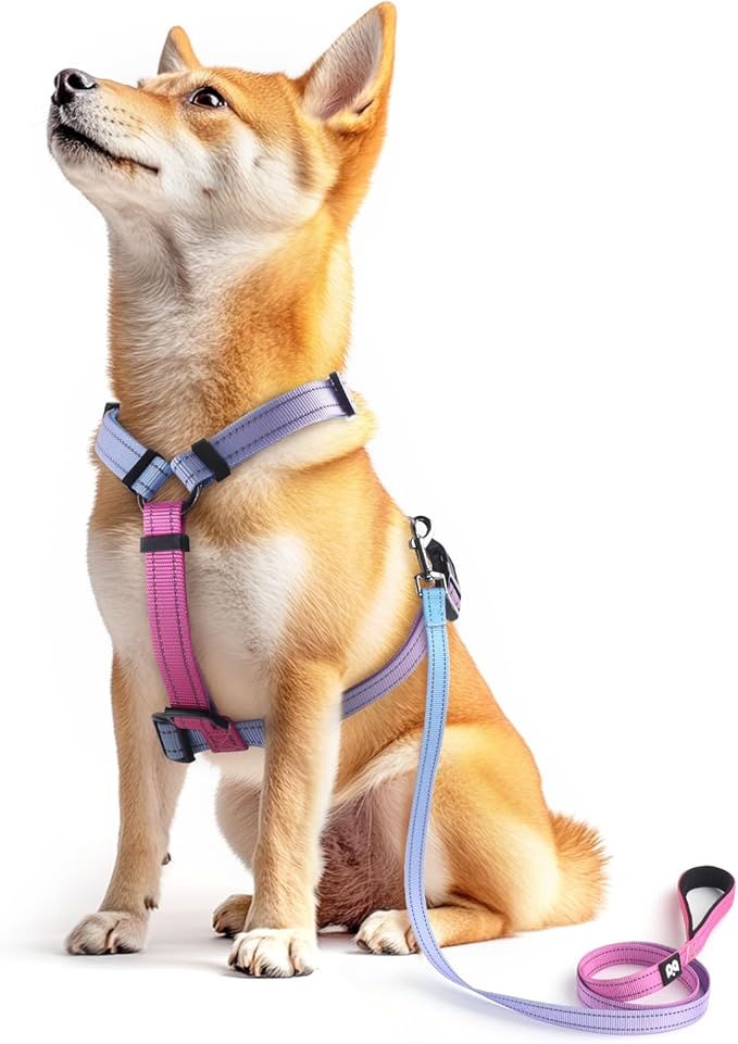 Dog Harness Leash Set, No Pull Adjustable Halter Cute Comfort Padded Handle for Medium Sized Large Small Dogs Walking Training Running with Reflective(Small,Red Blue)