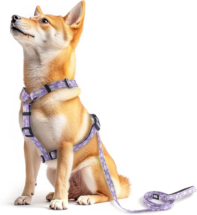 Dog Harness Leash Set, No Pull Adjustable Halter Cute Comfort Padded Handle for Medium Sized Large Small Dogs Walking Training Running with Reflective(Large,Purple)