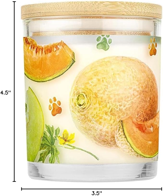 Pet House 9 oz Juicy Melon Scented Pet Odor Candle, Clean Burning, Long Lasting, Plant Based Spring, Summer Scented Soy Candles, 60 Hour Burn Time, Pack of 2